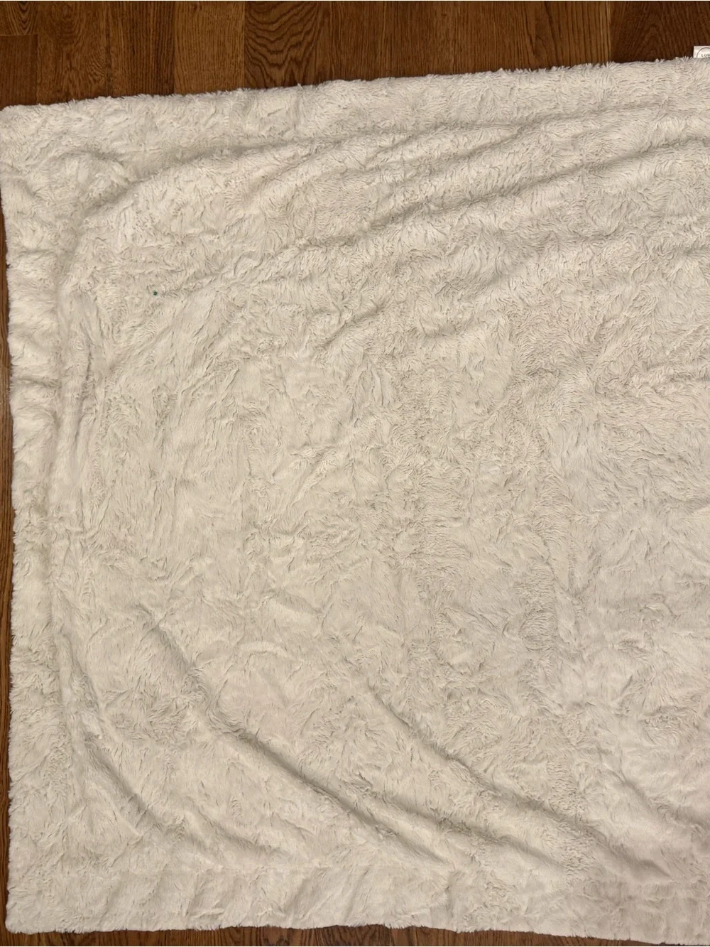 Lou Lou & Company soft cozy